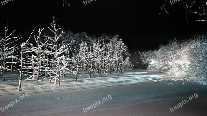 Blue Pond Light Up Biei Blue Wood