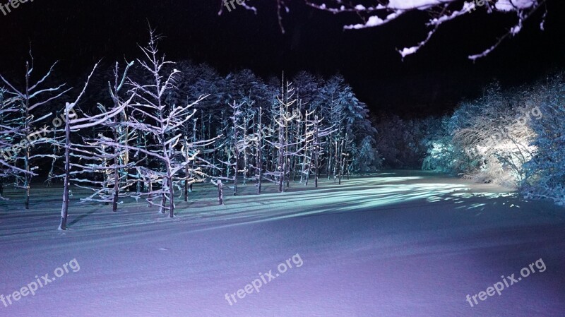 Blue Pond Light Up Biei Blue Wood