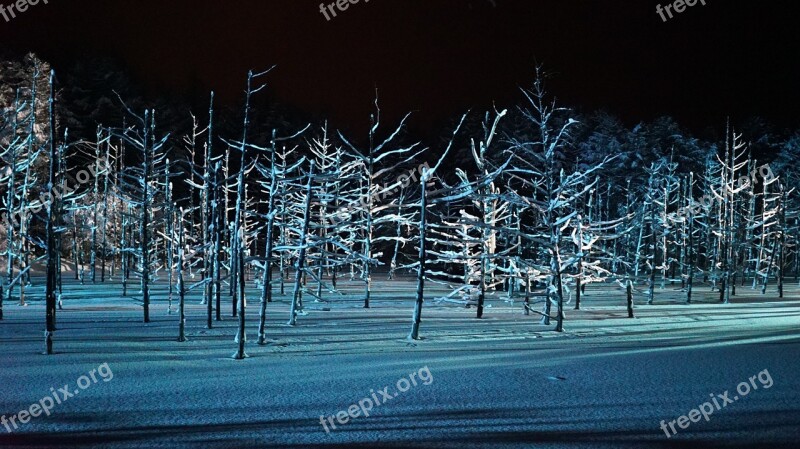 Blue Pond Light Up Biei Blue Wood