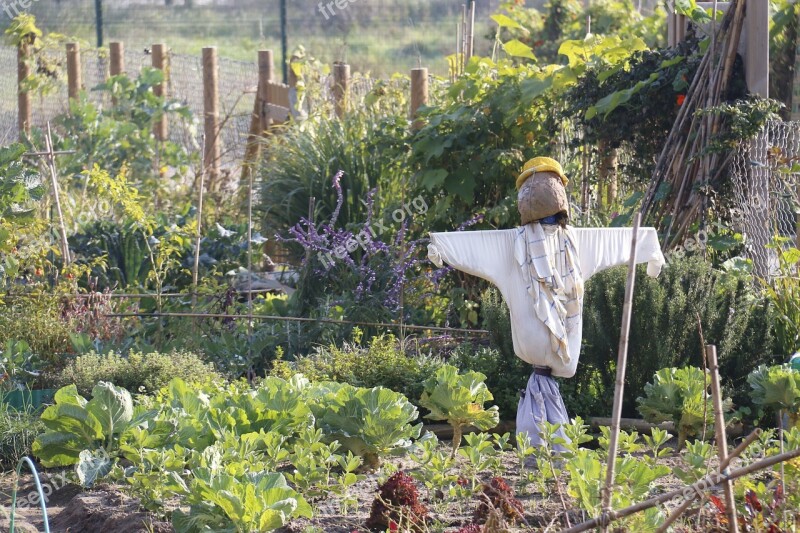 Work Watch Attention Scarecrow Loneliness