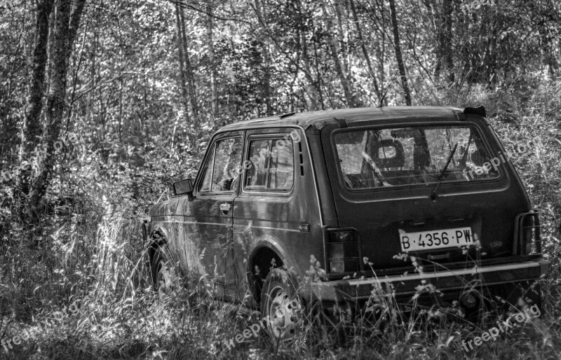 Car Abandoned Weed Old Forest