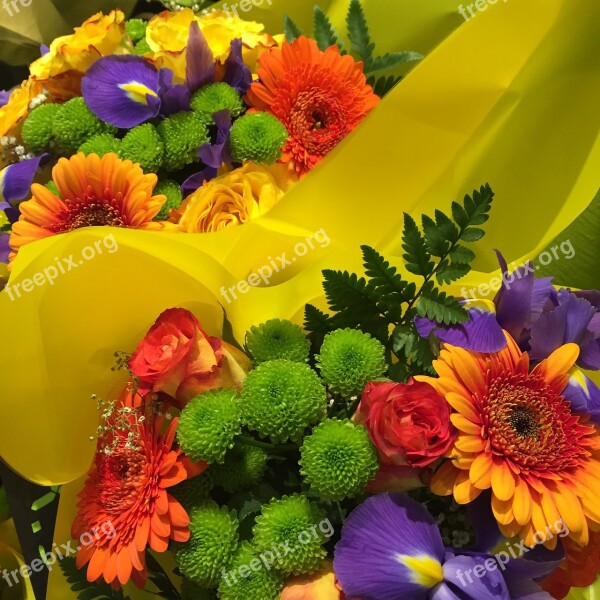 Flowers Bouquets Colors Free Photos