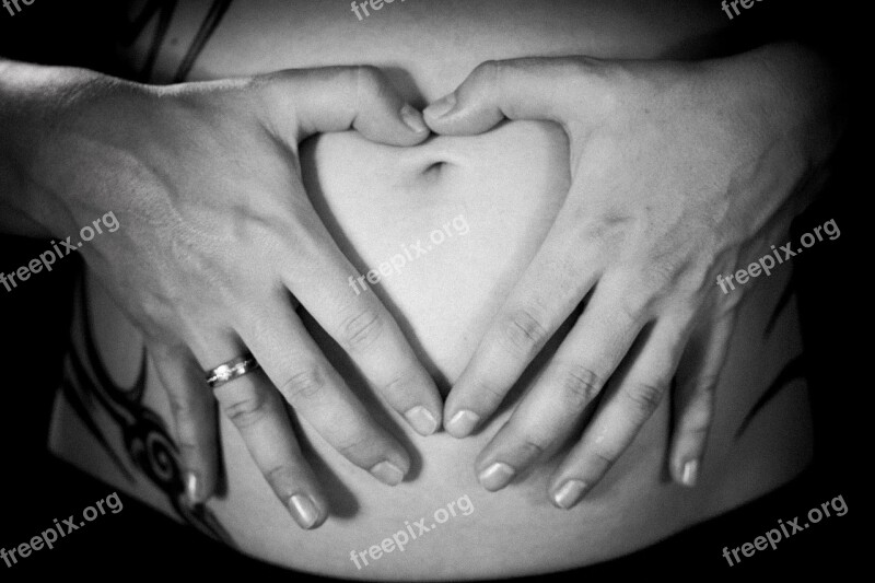 Baby Belly Pregnancy Family Live New Hands