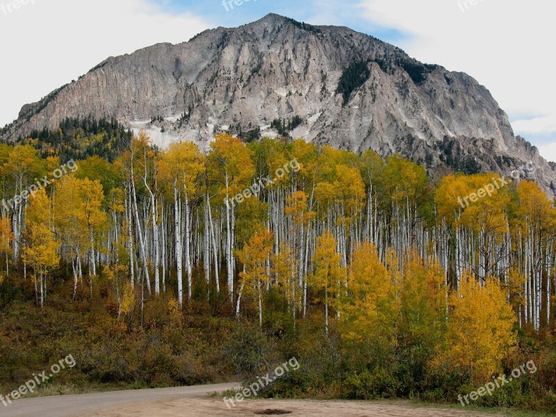 Colorado Aspens Mountain Free Photos