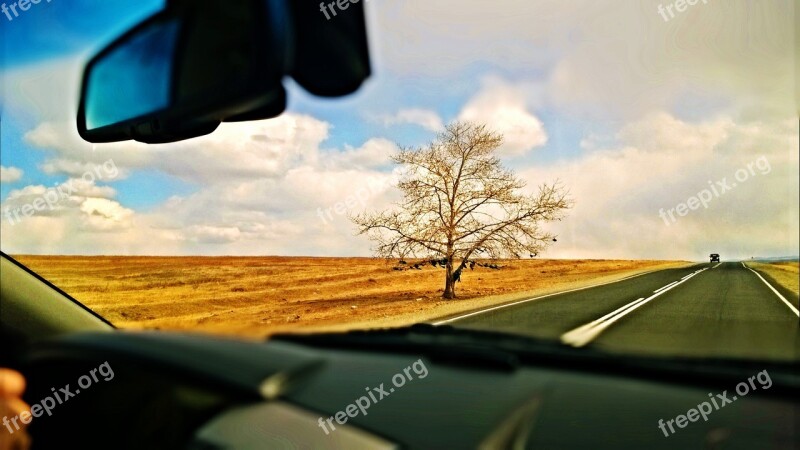 Tree Road Steppe Nature Free Photos