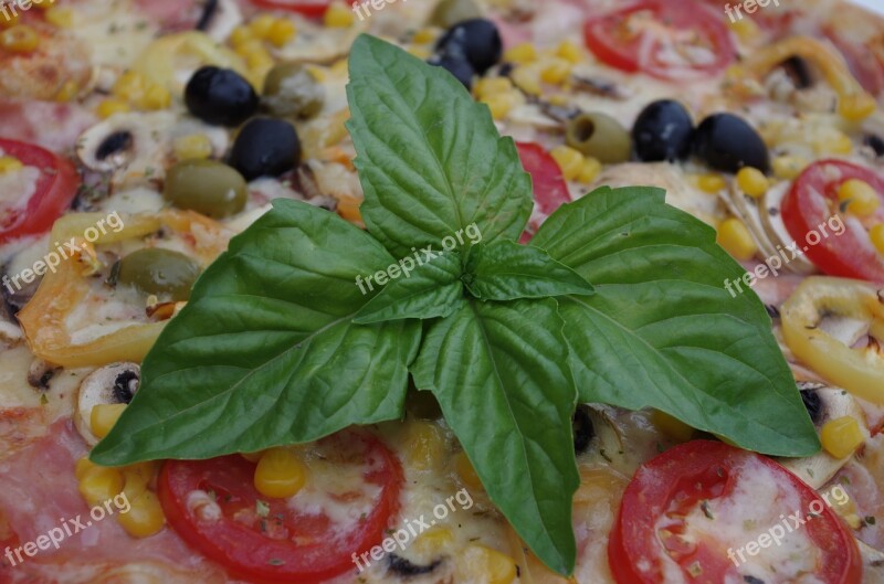 Pizza Olives Meal Basil Free Photos