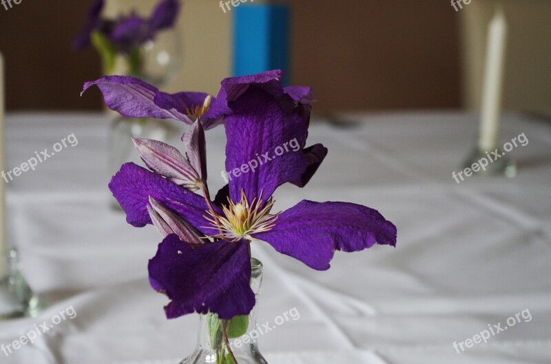 Table Manners Flower Purple Free Photos