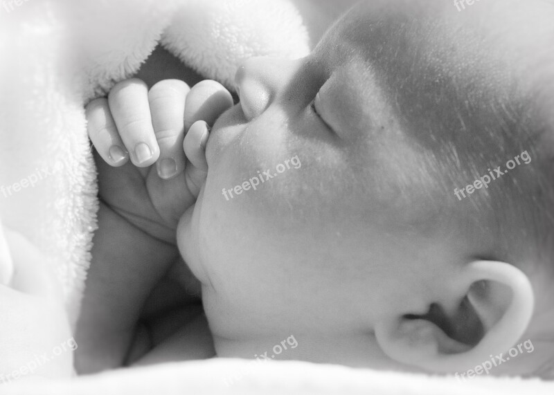 Baby Hand Newborn Free Photos