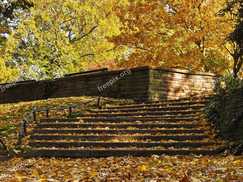 Autumn Leaves Golden Autumn Fall Foliage Nature