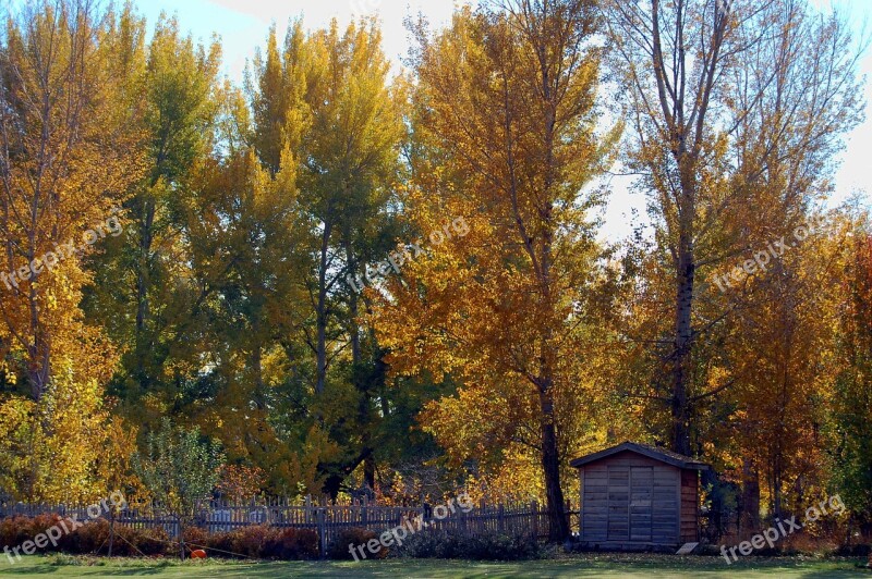 Landscape Autumn Chicken Coop Tree Autumn Landscape