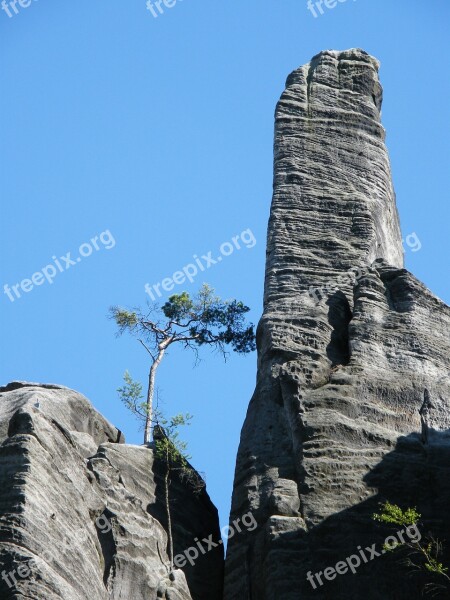 Pine Lonely Rock Blue Sky