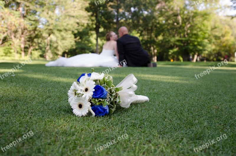 Wedding Nature Petals Flowers Sweetness