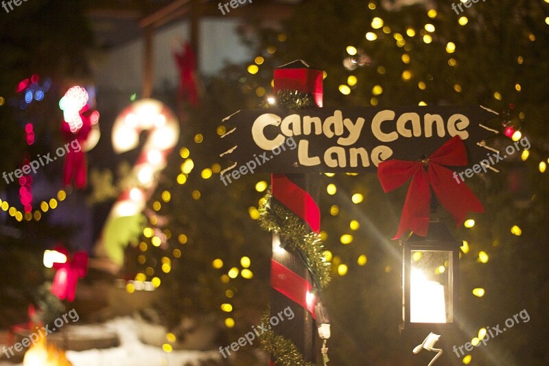 Christmas Candy Cane Candy Cane Decoration