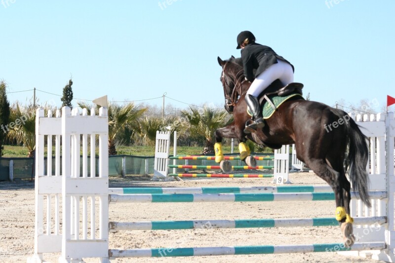 Horse Jumping Black Equestrian Horse Jumping