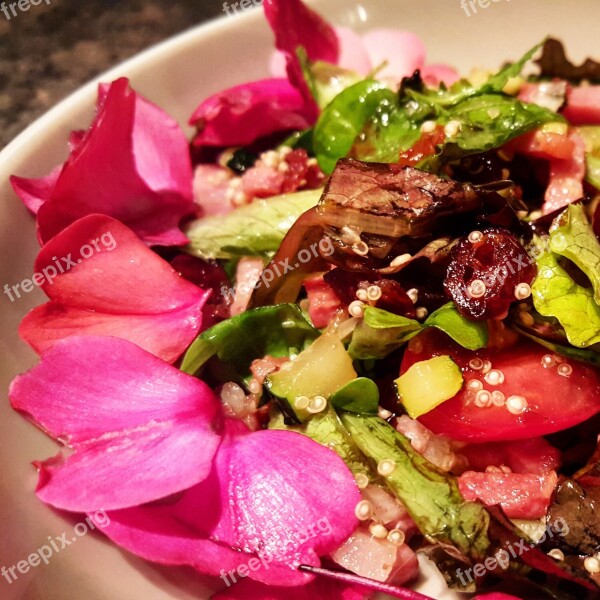 Food Salad Fresh Flowers Quinoa