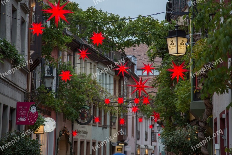 Christmas Poinsettia Advent Freiburg Seminary Street