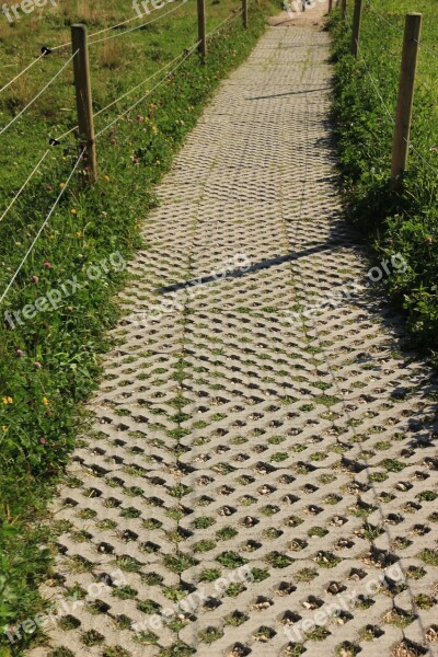 Away Patch Paving Stones Pattern Structure