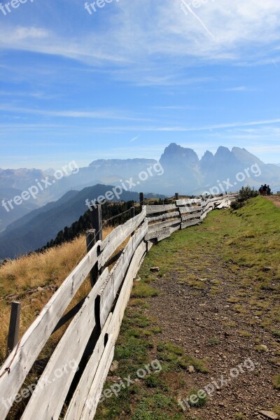 Fence Paling Wood Fence Wood Demarcation