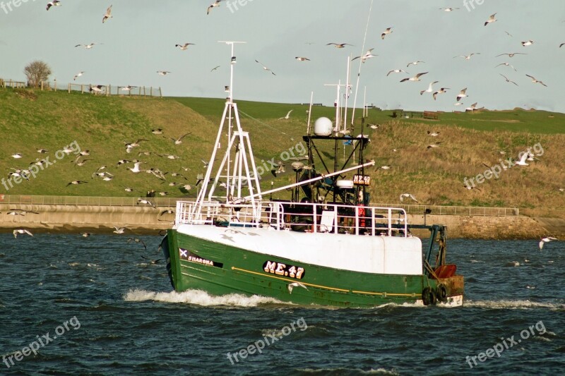 Trawlers Fishing Tynemouth Tyne Free Photos