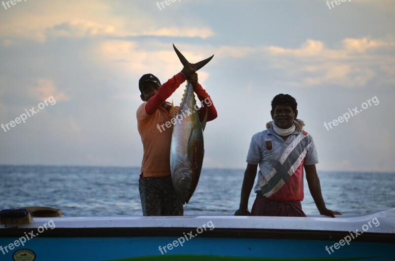 Sri Lanka Fisherman Fishing Boat Tuna