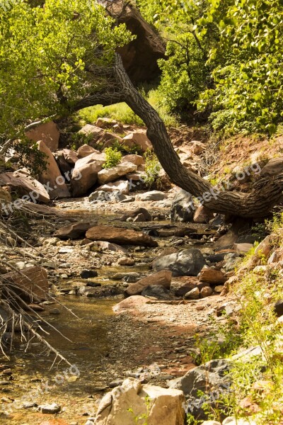 Kolob Canyons Taylor Creek Trail Zion National Park Utah Desert