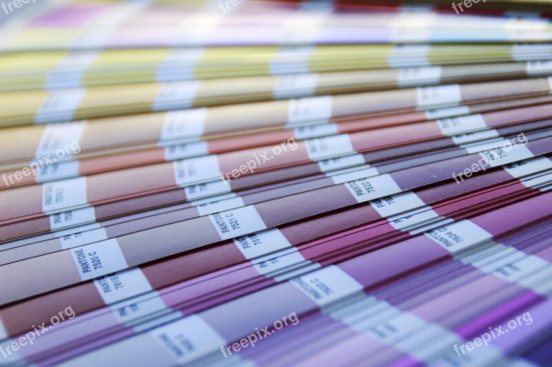 Color Pantone Nuance Swatches Free Photos