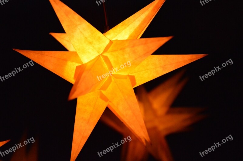 Star Poinsettia Advent Adventsstern Christmas Decoration