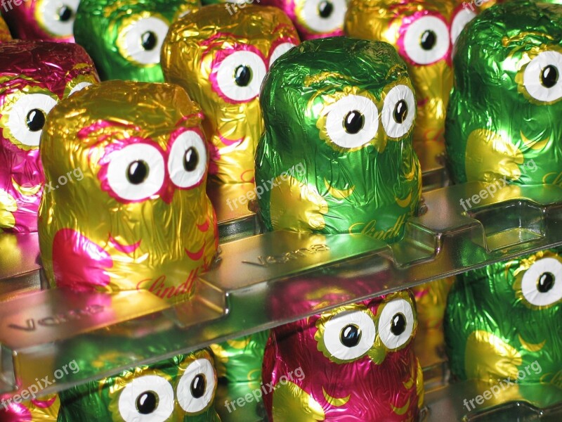 Owls Chocolate Lindt Colorful Holkörper