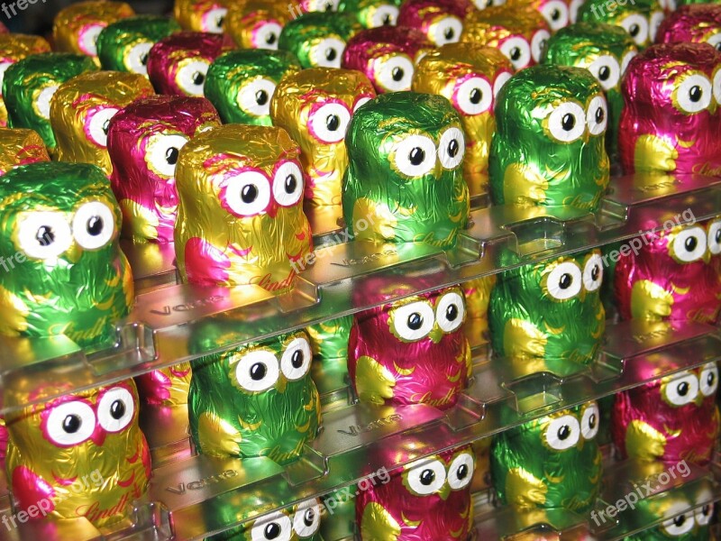 Owls Chocolate Lindt Colorful Holkörper