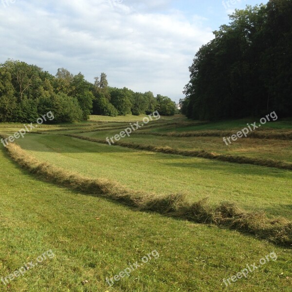 Castle Park Nymphenburger Autumn Grass Landscape