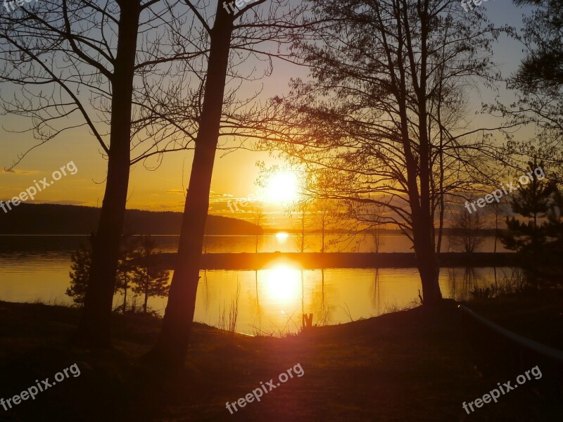 Sunset Sunrise Trees Lake Calm