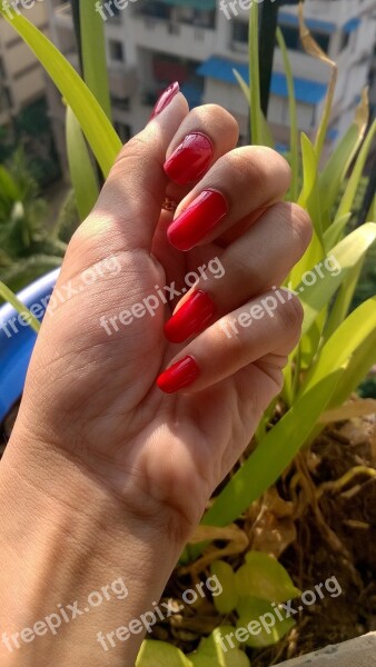 Nail Paint Red Female Fashion