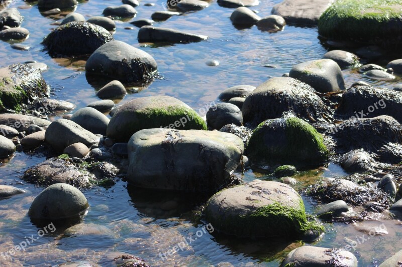 Pebbles Stones Water Sea Beach