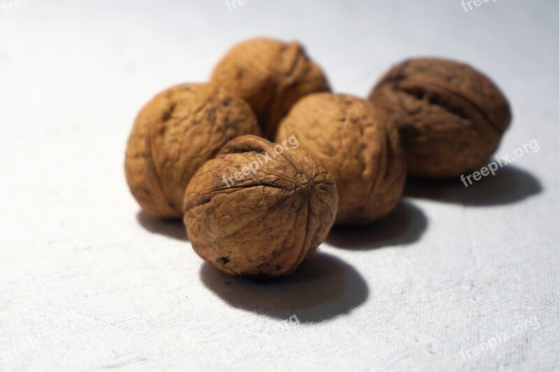 Walnuts Shell Hard Nature Nut