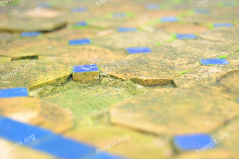 Mosaic Table Transience Vintage Macro