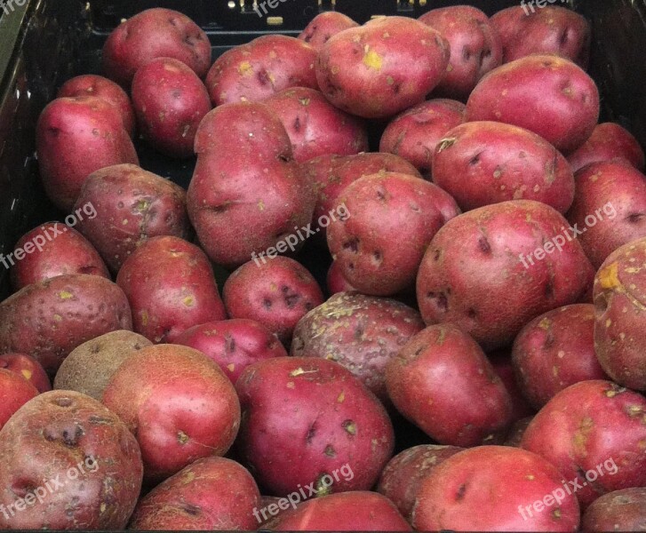 Red Potatoes Varieties Spuds Taters Red