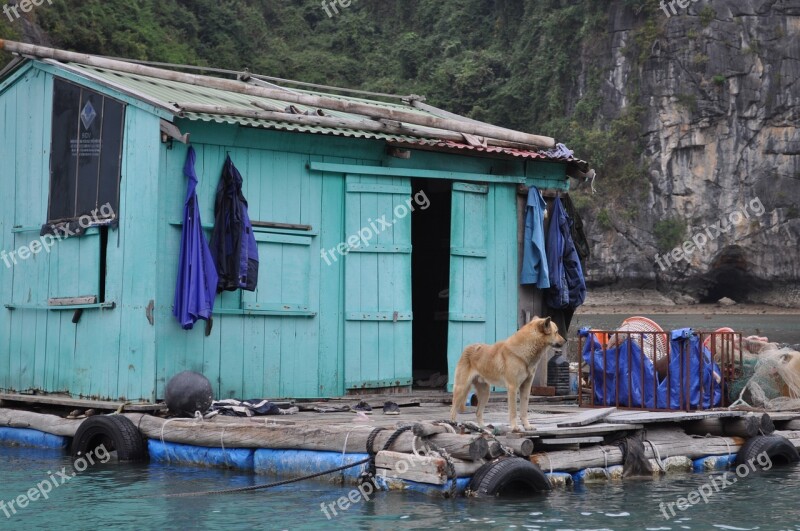 Hut Fisherman's Hut Floating Village Halong Bay Water