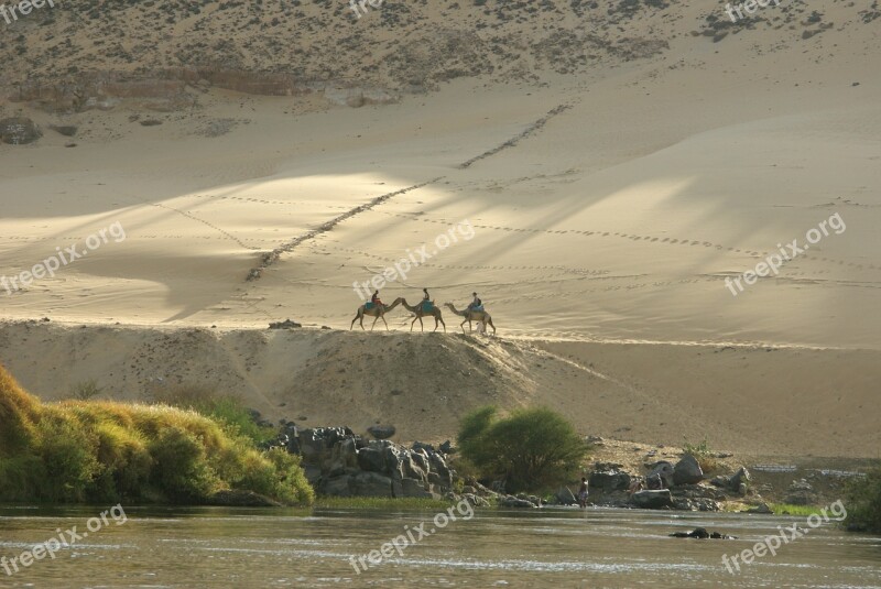 Desert Camels Caravan Nile Sand