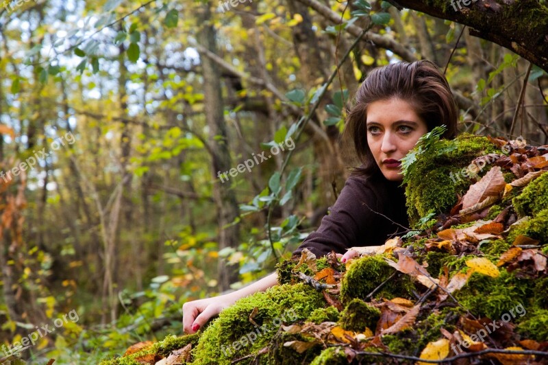 Tree Forest People Woman Portrait