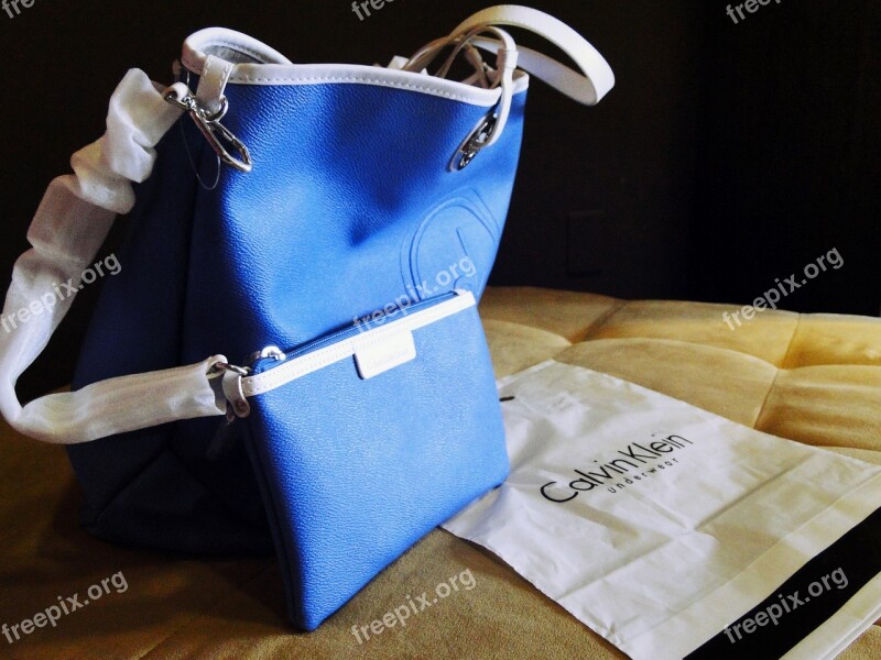 Purse Blue Bag Wallet Free Photos