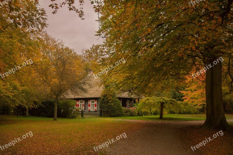 Forest House Tree Nature Landscape