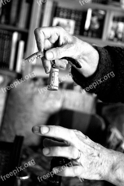 Hands Wine Cap Black And White Free Photos