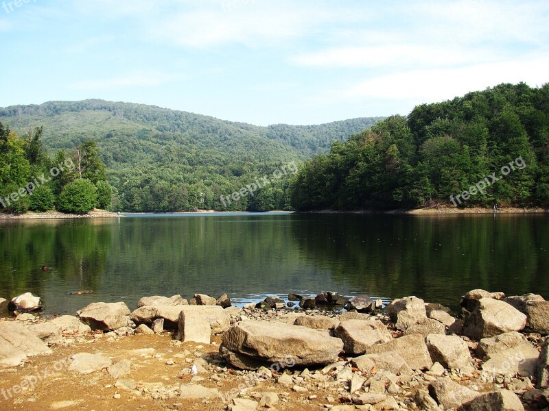 Lake Pond Water Nature Landscape