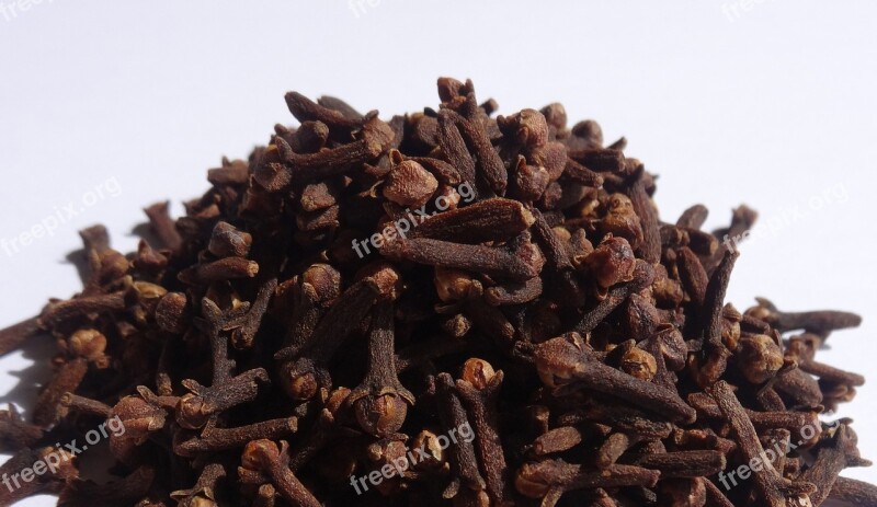 Cloves Spices Syzygium Aromaticum Free Photos