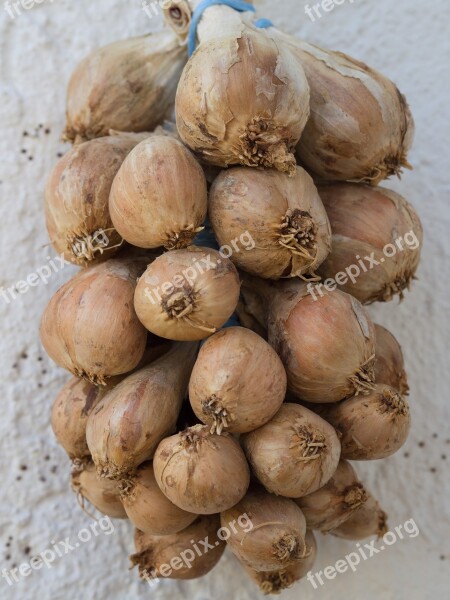 Onion Plait Spice Vegetables Allium Cepa