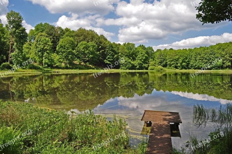 Nature Lake Mirroring Web Water