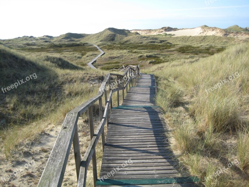 Island Amrum North Sea Dune Sand