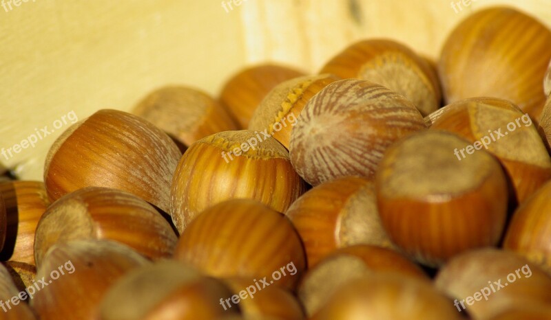 Hazelnuts Dried Fruit Fall Hazel Free Photos