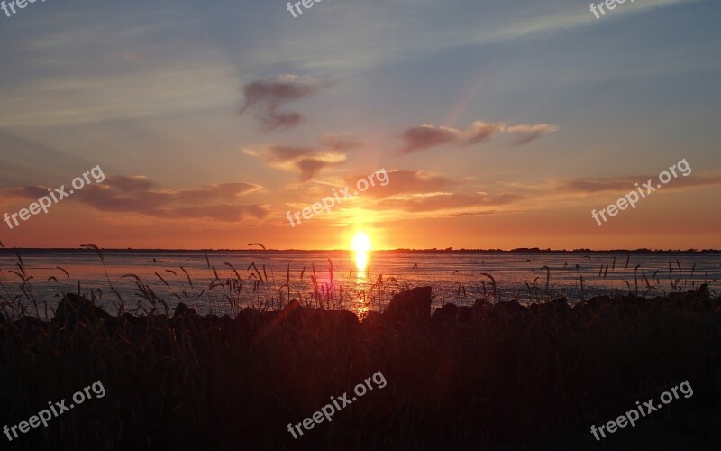 Sunset Backlighting Abendstimmung Evening Sun Watts