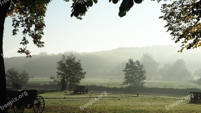 Backlighting Fog Autumn Mood Autumn Morning